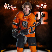 (image for) Hockey WORKS