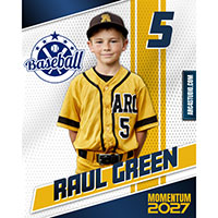Baseball Vertex sports poster template