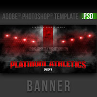 Platinum Banner Platinum Banner