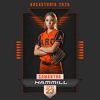 (image for) VERTEX SOFTBALL