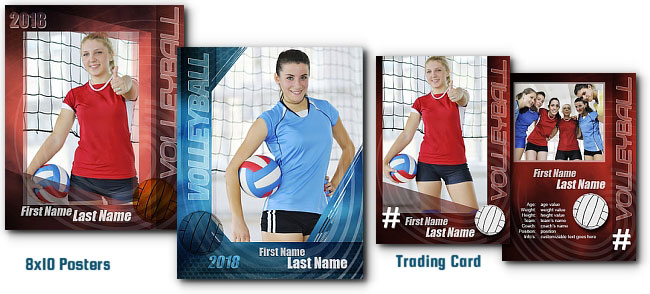 Volleyball "PRO" - Click Image to Close