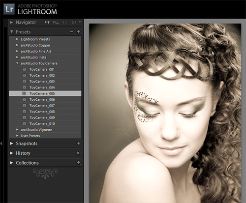 Arc4Studio Lightroom Presets